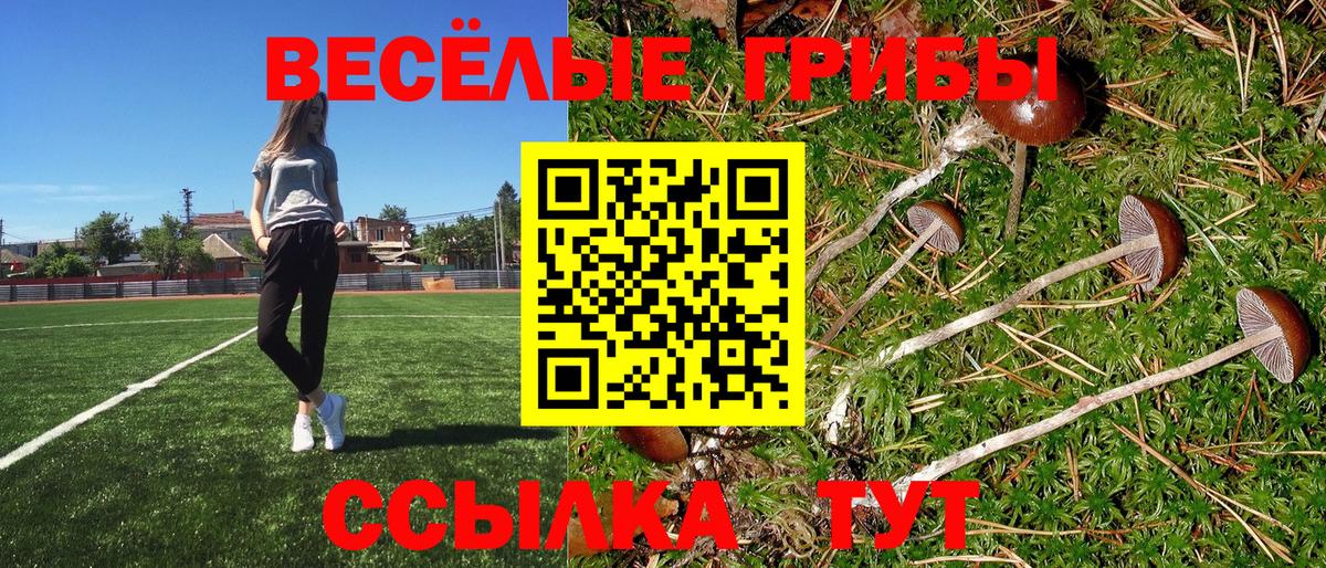 Галлюциногенные грибы GOLDEN TEACHER  Вход с VPN  Семёнов 